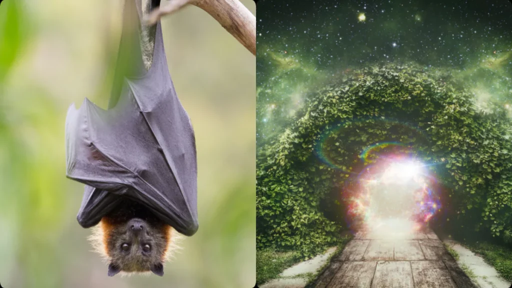 The Spiritual Meaning of Seeing a Bat During The Day