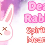 Dead Rabbit Spiritual Meaning